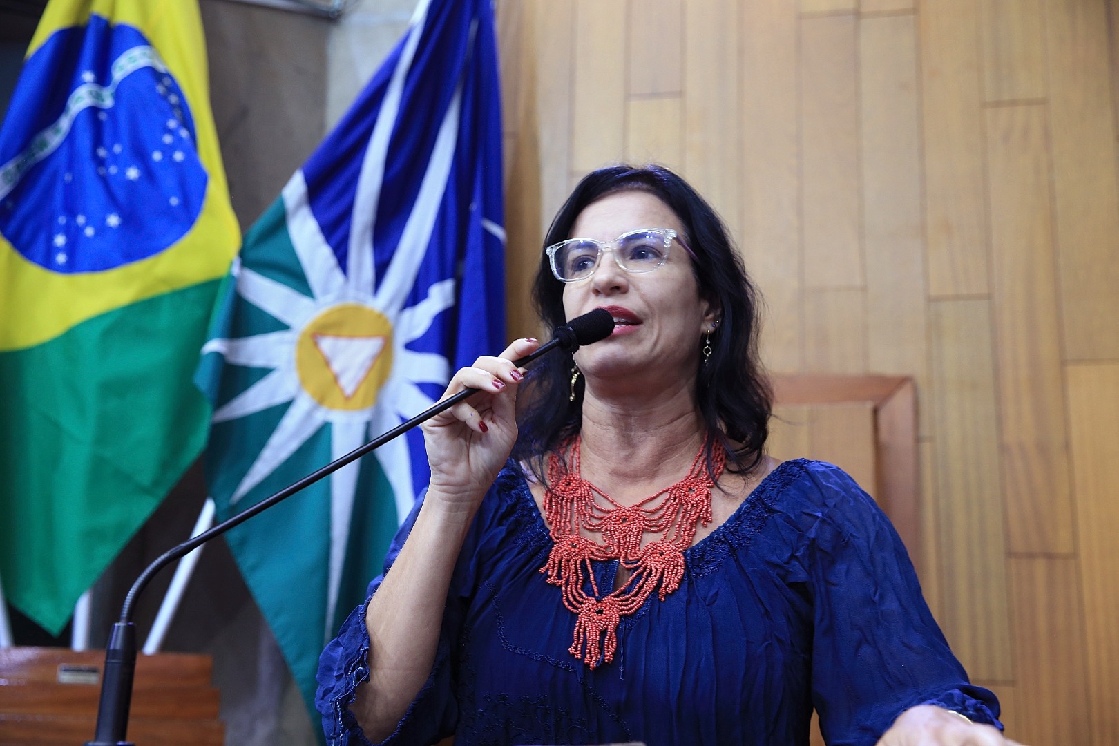 foto Aline Rezende 0009.JPG