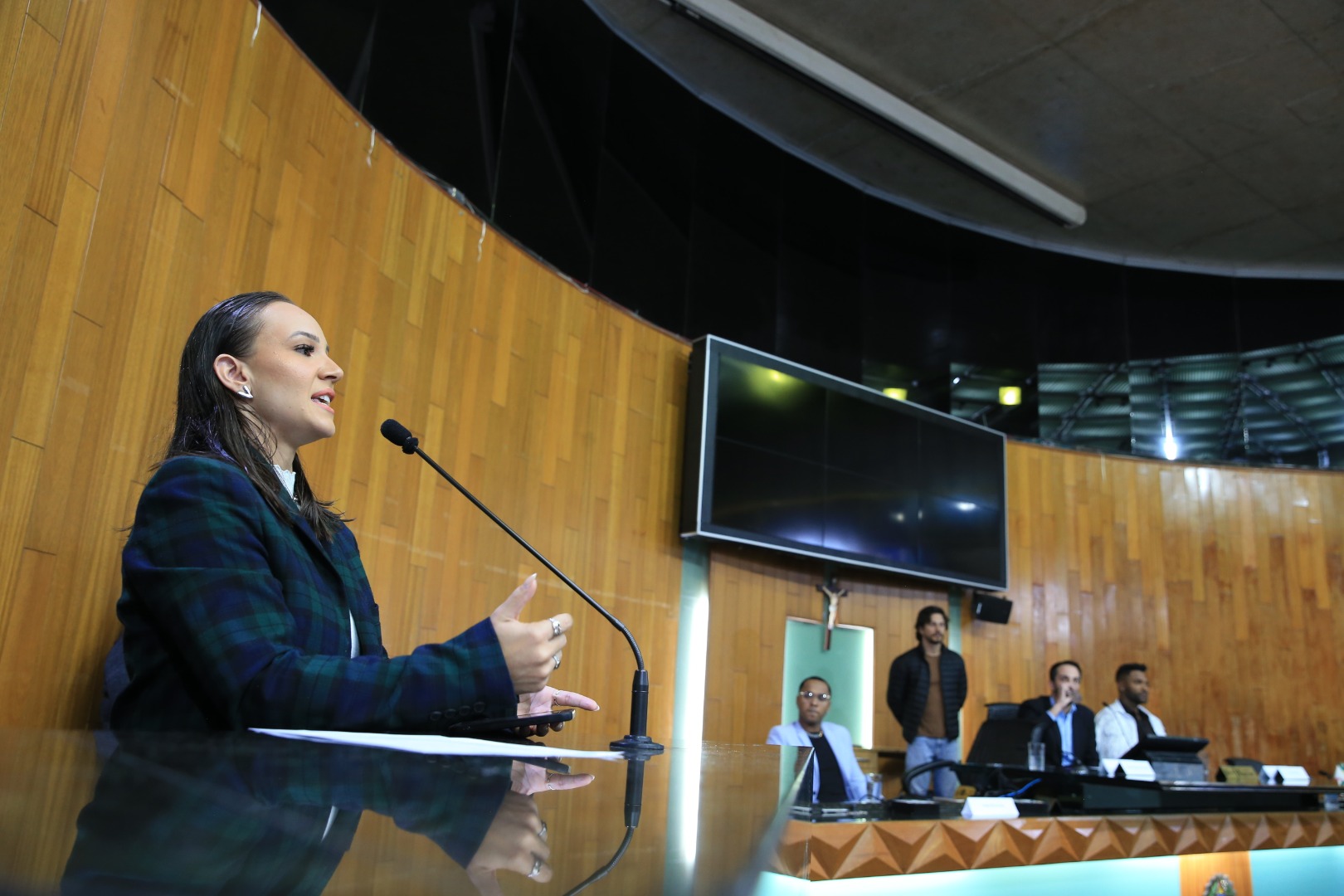 foto Aline Rezende 0018.JPG