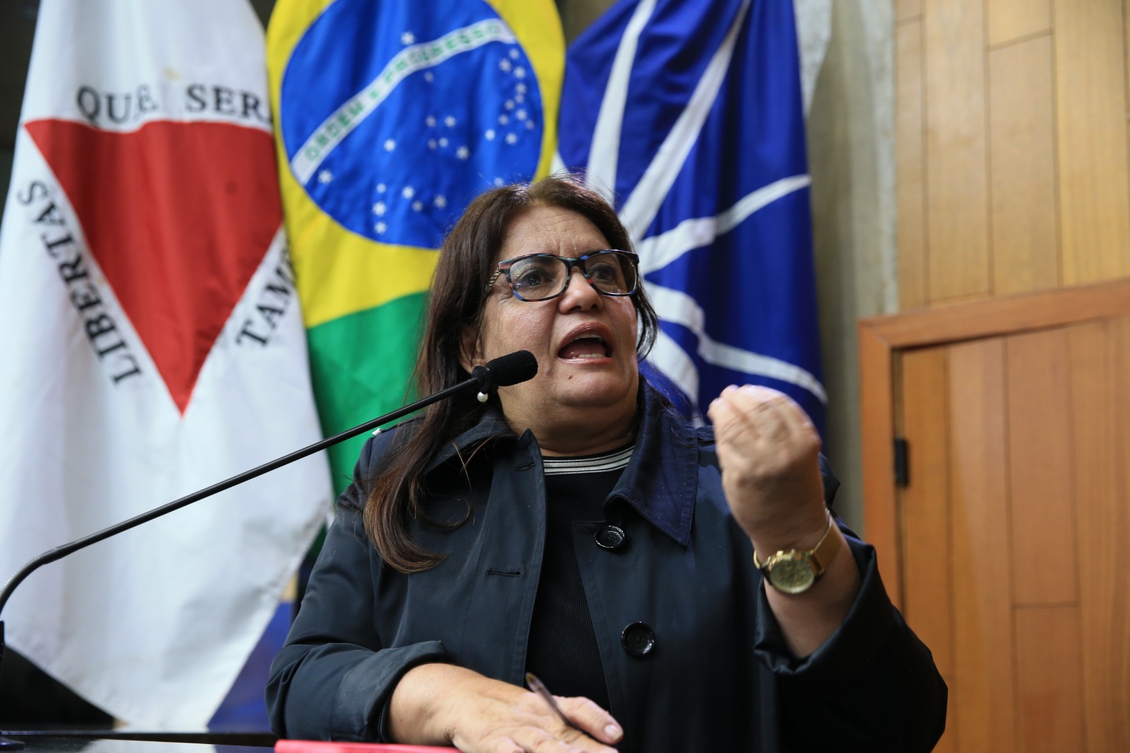 foto Aline Rezende 0029.JPG