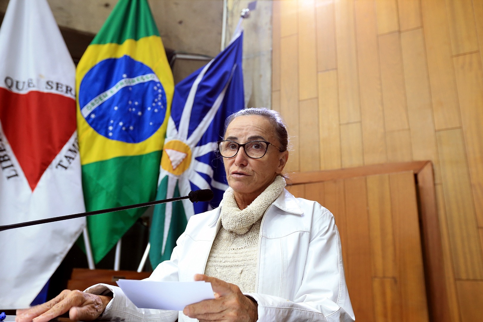 foto Aline Rezende 0001.JPG
