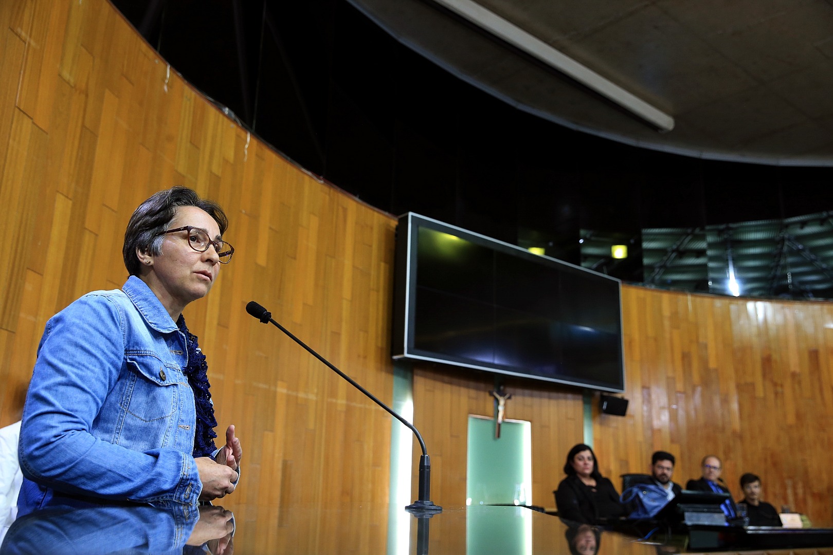 foto Aline Rezende 0017.JPG