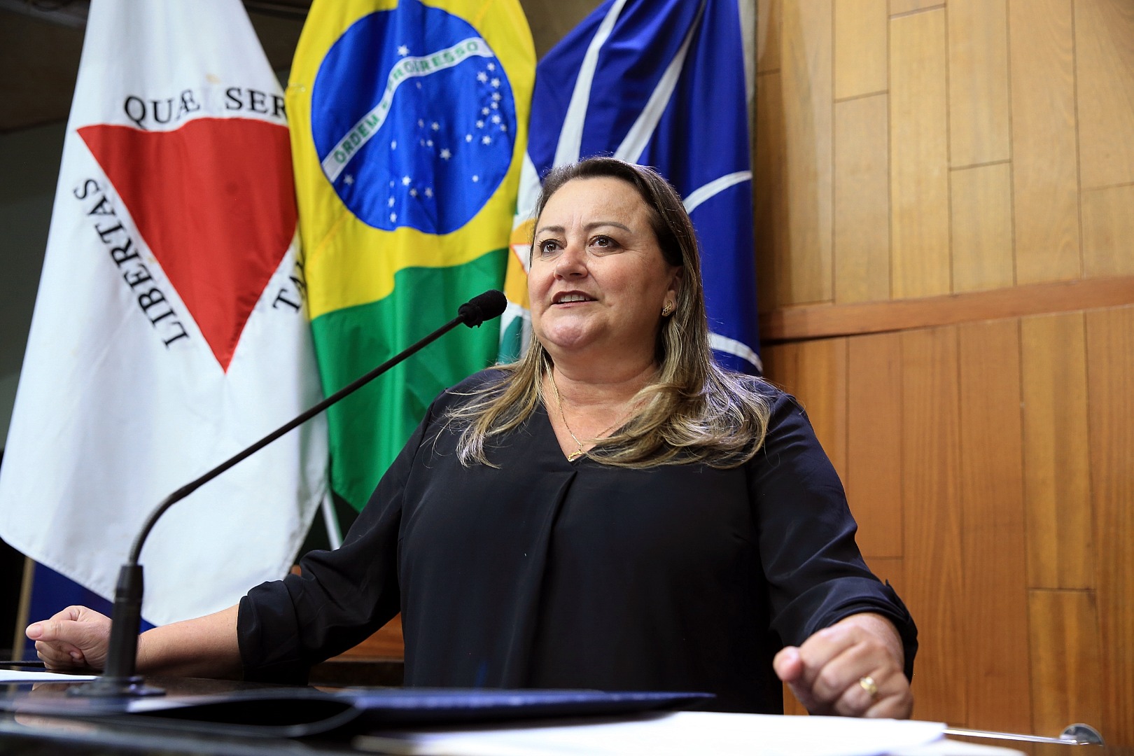 foto Aline Rezende 0036.JPG
