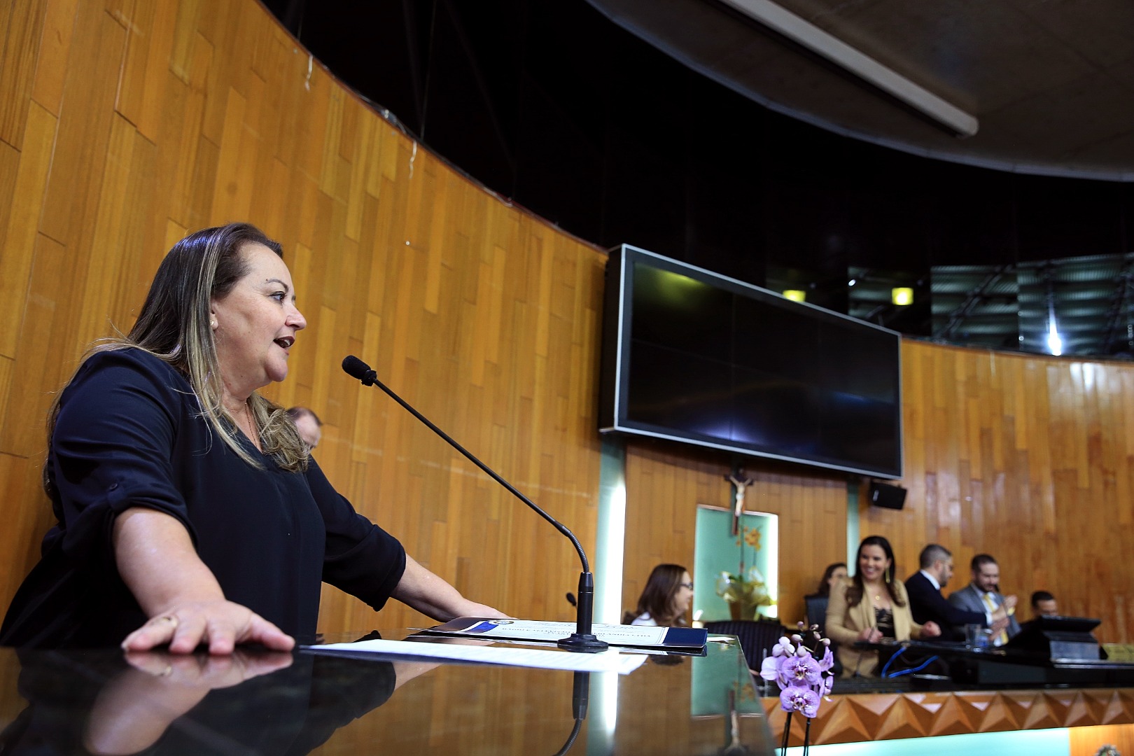 foto Aline Rezende 0037.JPG