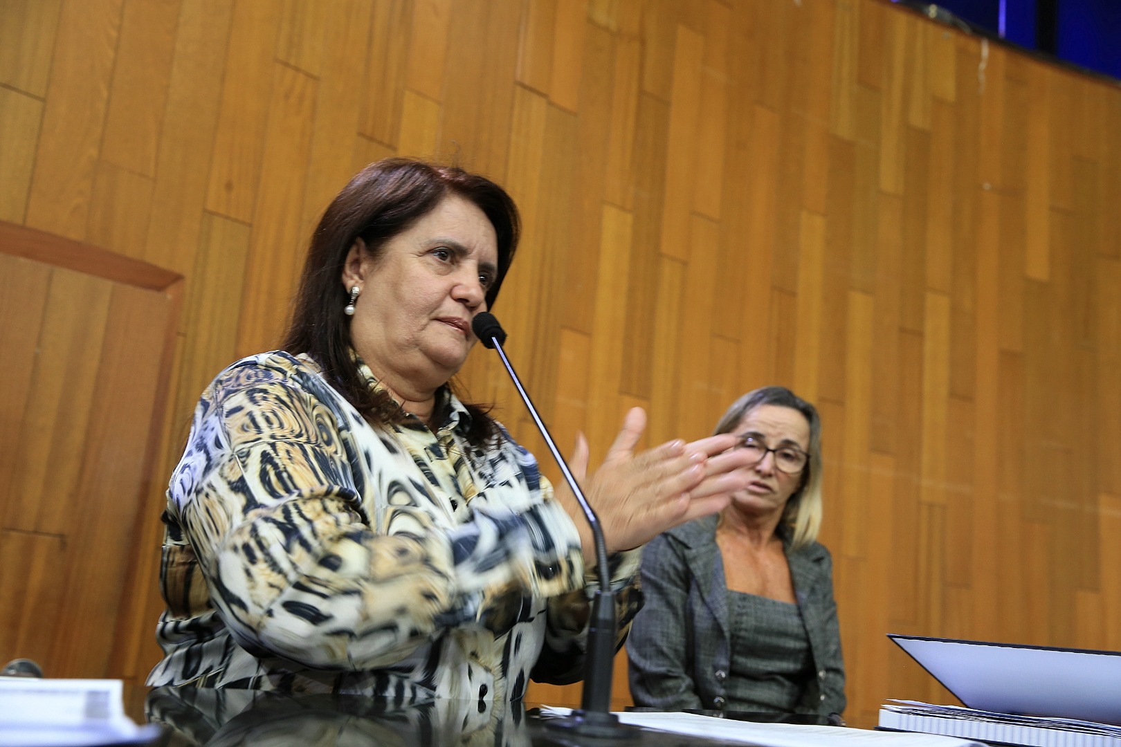 foto Aline Rezende 0022.JPG