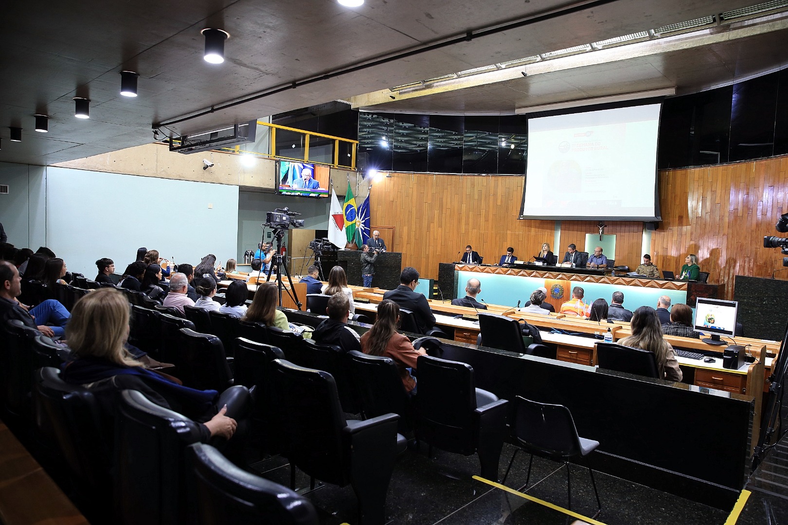 foto Aline Rezende 0016.JPG