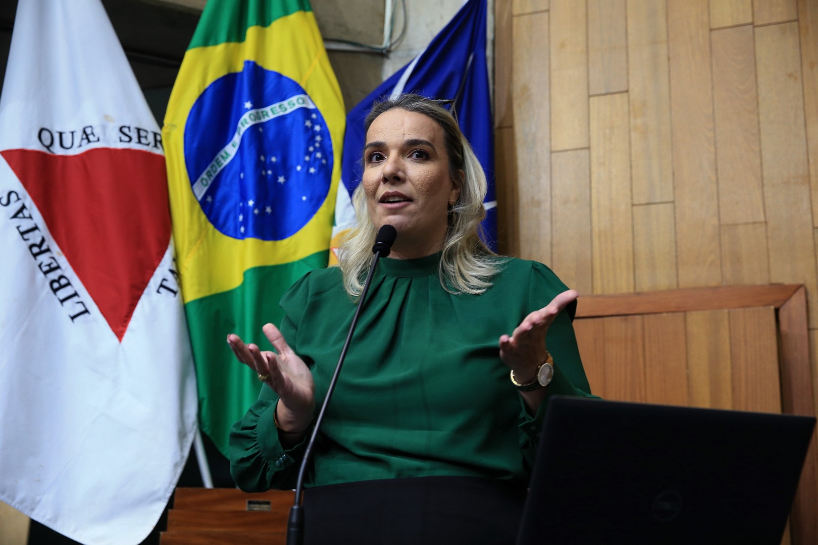 foto Aline Rezende 0034.JPG