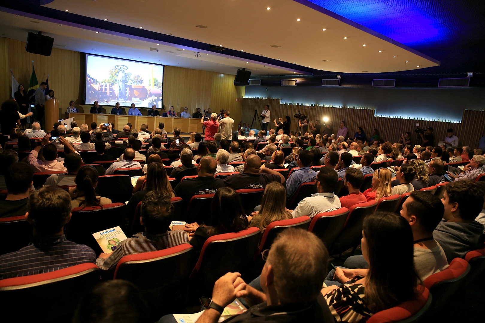 foto Aline Rezende 0014.JPG
