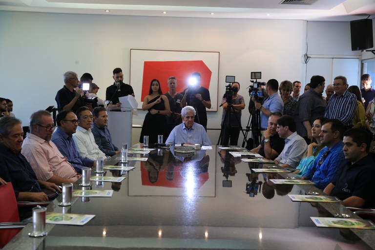 foto Aline Rezende 0006.JPG