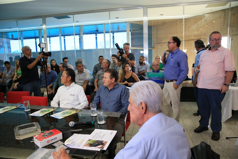 foto Aline Rezende 0018.JPG