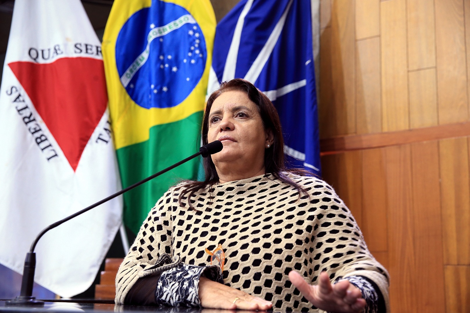 foto Aline Rezende 0008.JPG