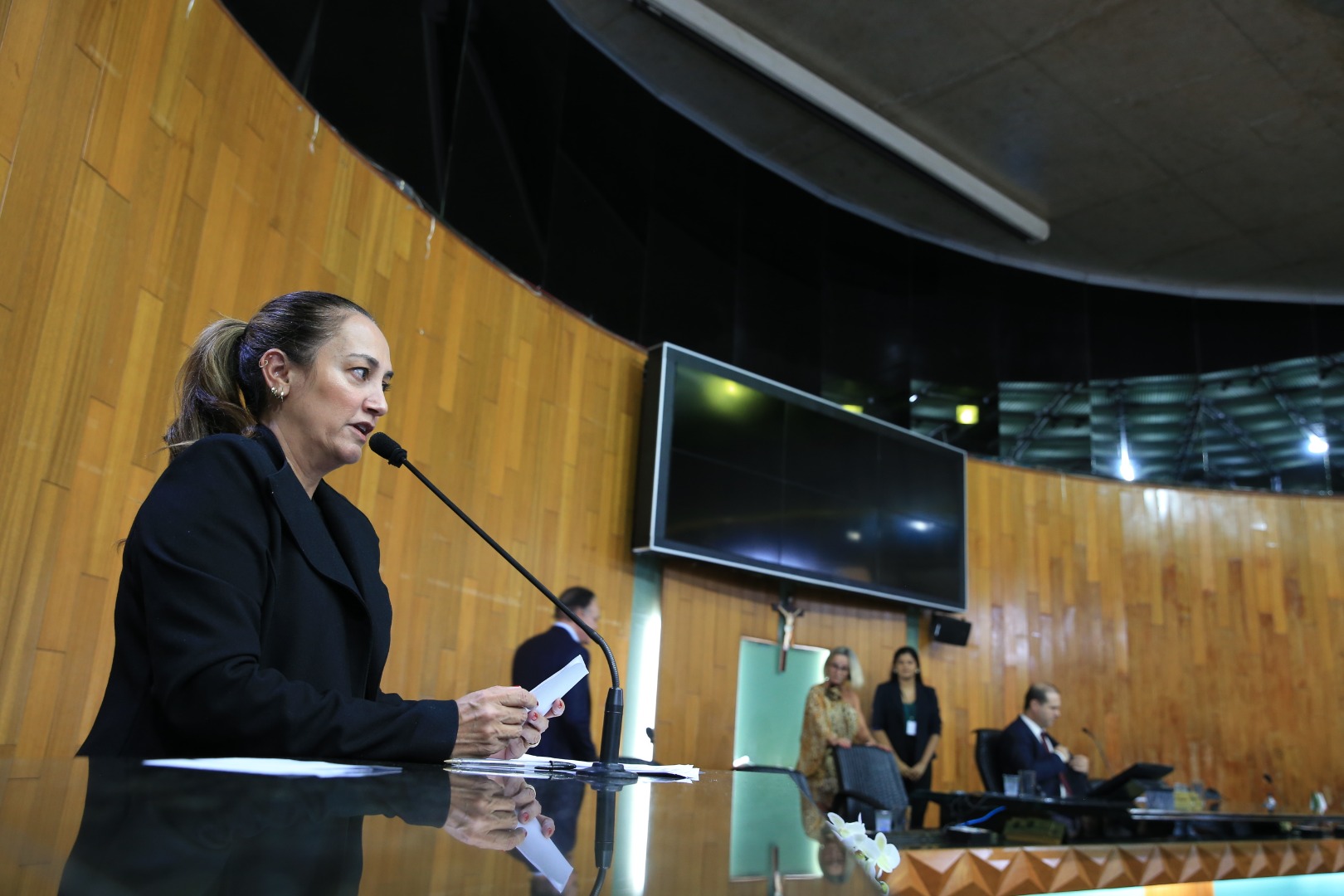 foto Aline Rezende 0003.JPG