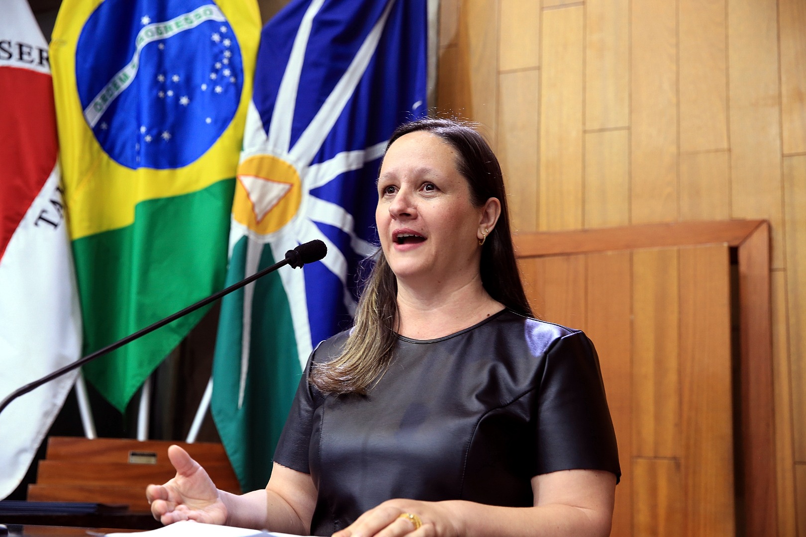 foto Aline Rezende 0011.JPG