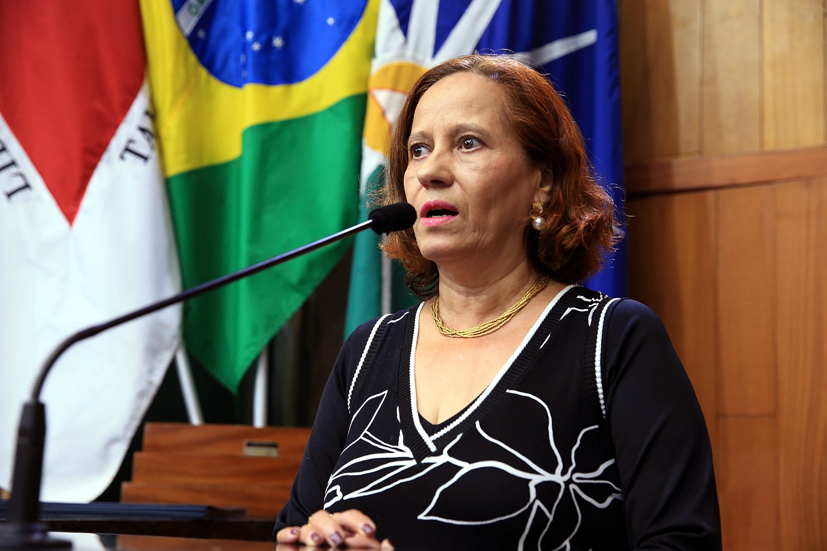 foto Aline Rezende 0014.JPG