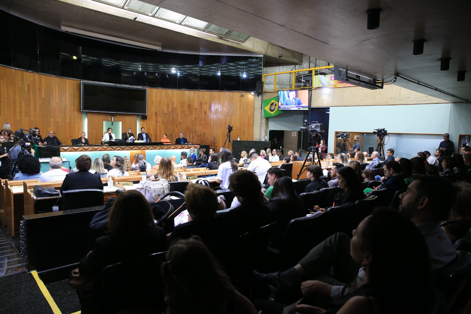 foto Aline Rezende 0016.JPG