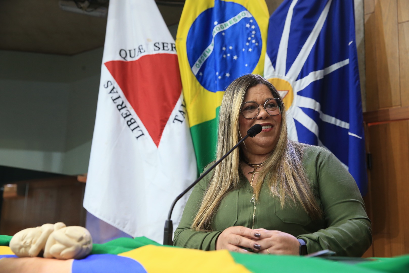 foto Aline Rezende 0009.JPG