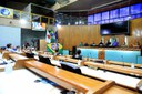 foto Aline Rezende 0011.JPG 