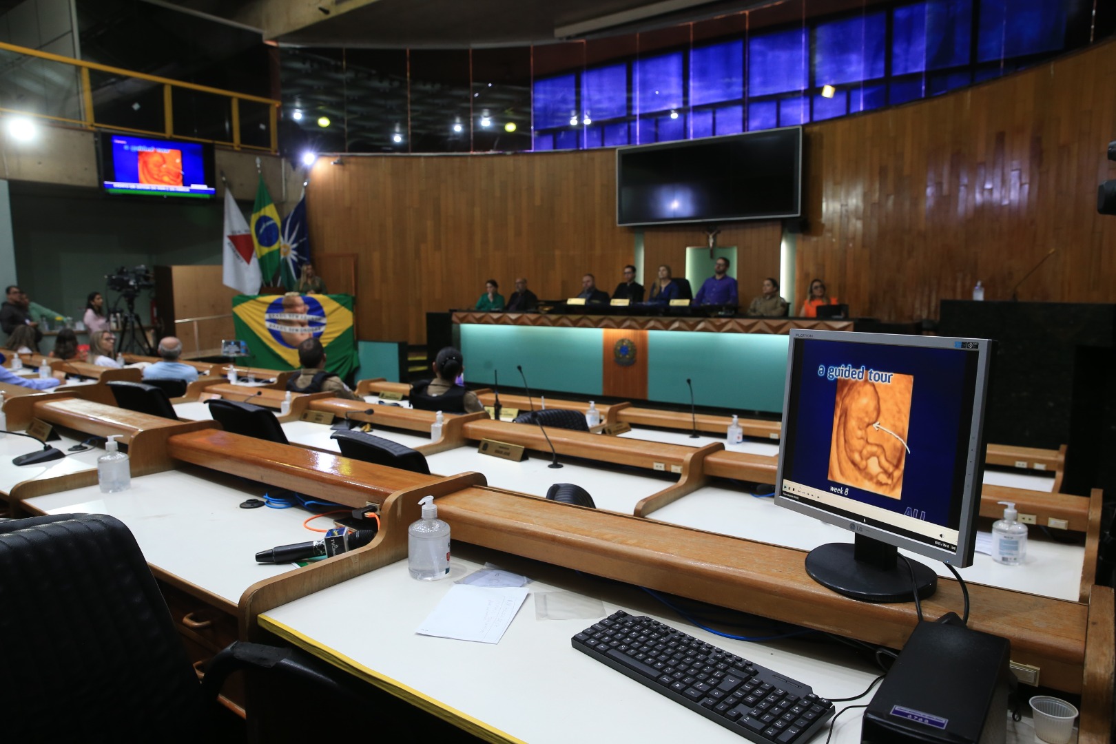foto Aline Rezende 0014.JPG