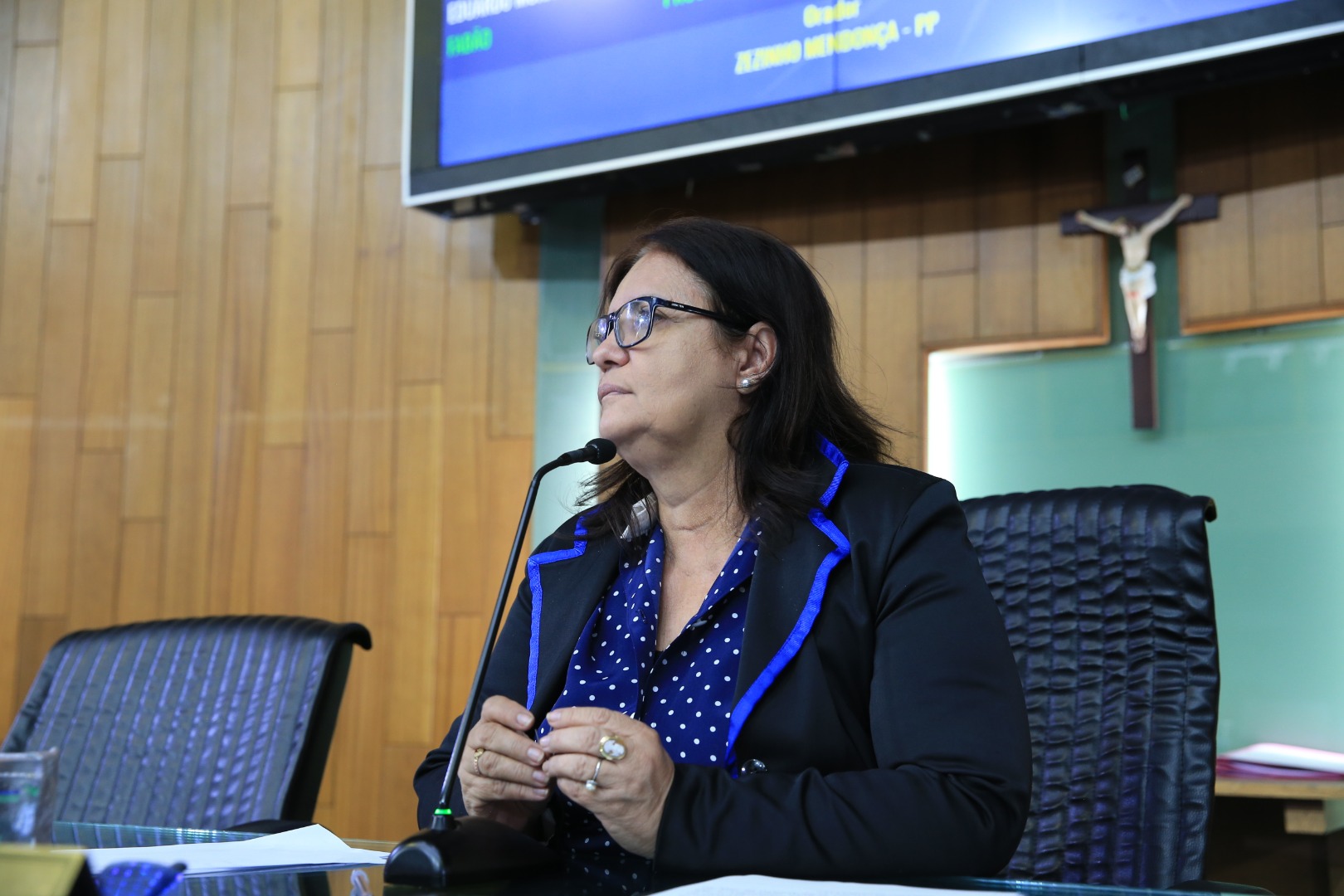 foto Aline Rezende 0043.JPG