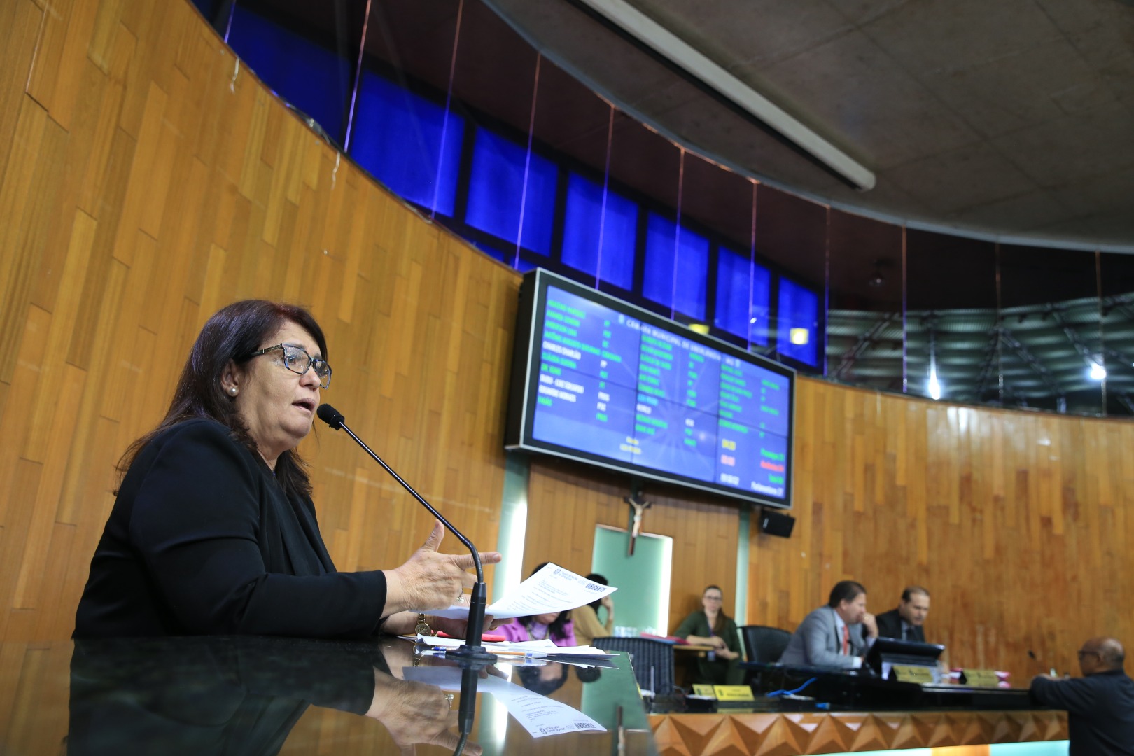 foto Aline Rezende 0037.JPG
