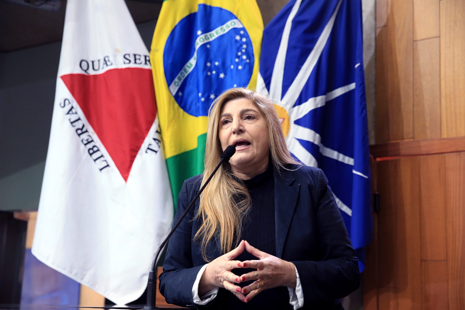 foto Aline Rezende 0054.JPG