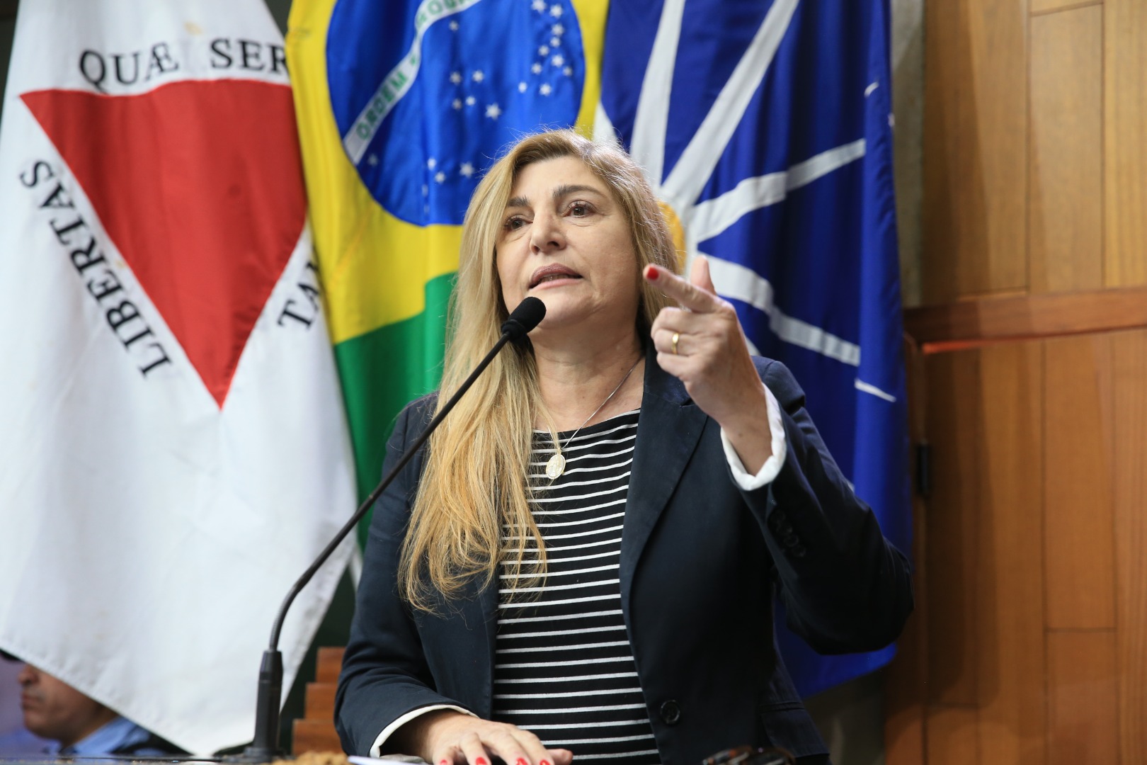 h 0001.JPG
