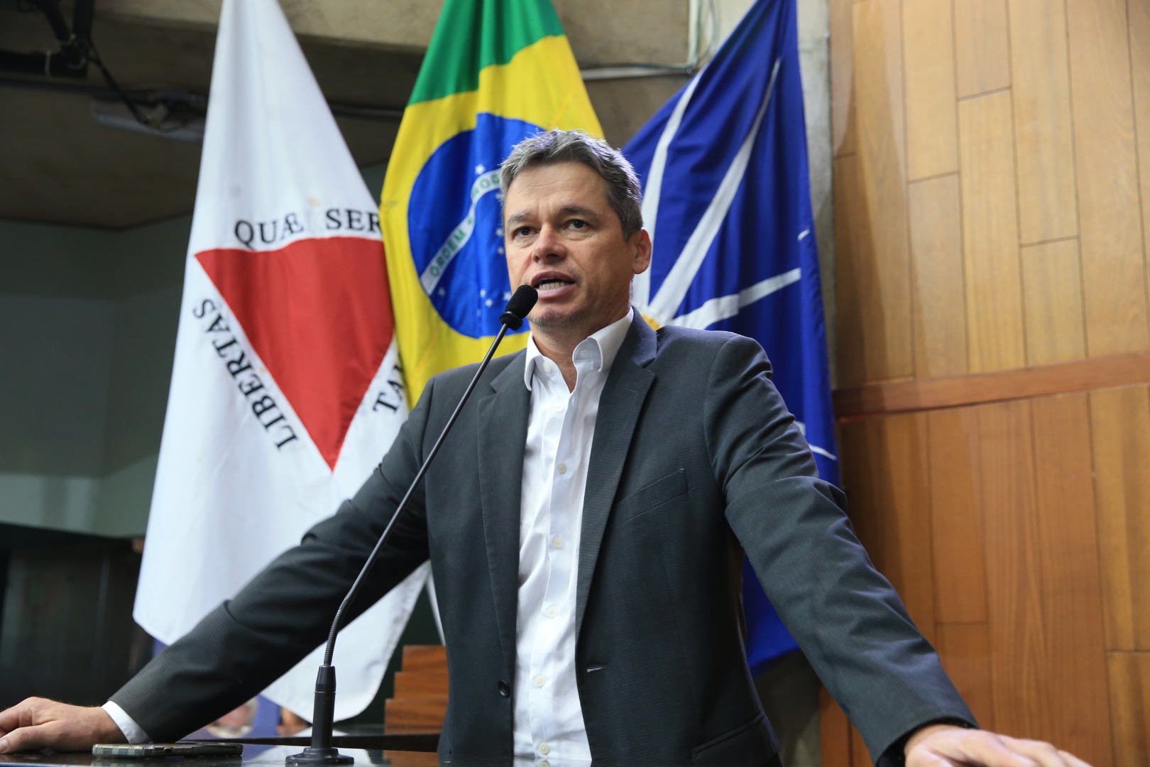 foto Aline Rezende 0008.JPG