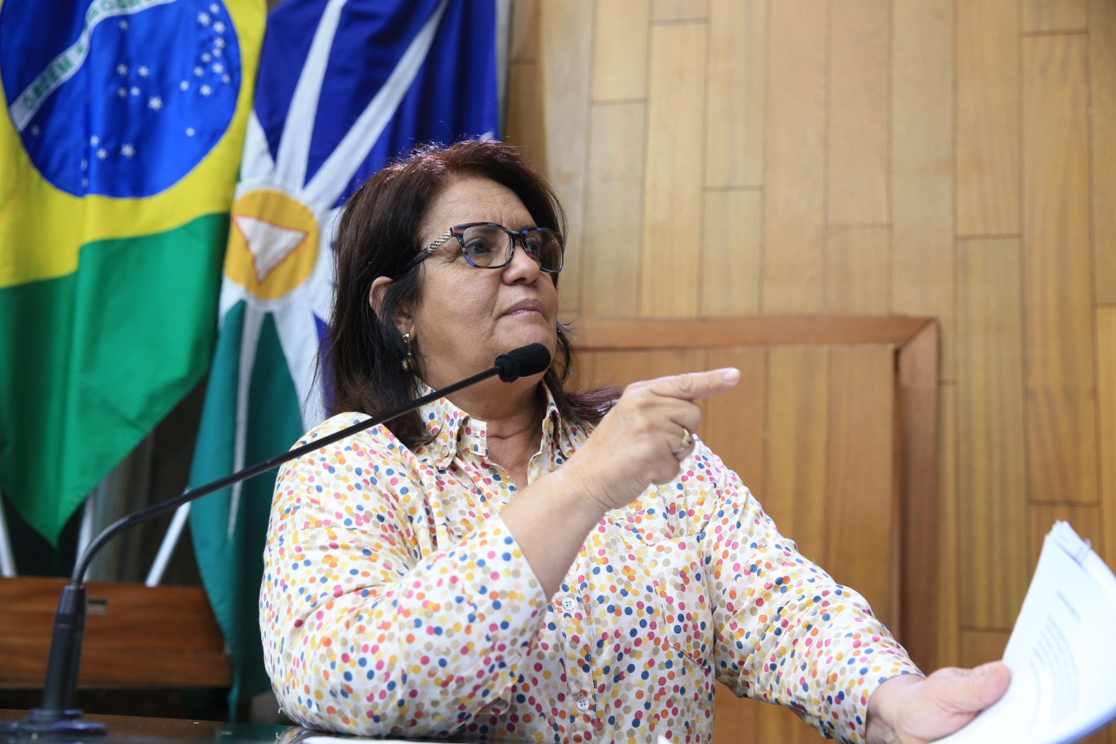 foto Aline Rezende 0023.JPG
