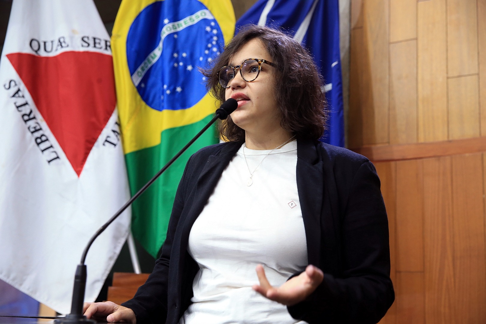 foto Aline Rezende 0040.JPG
