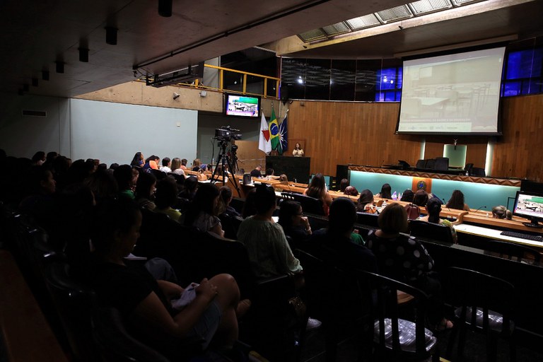 foto Aline Rezende 0019.JPG