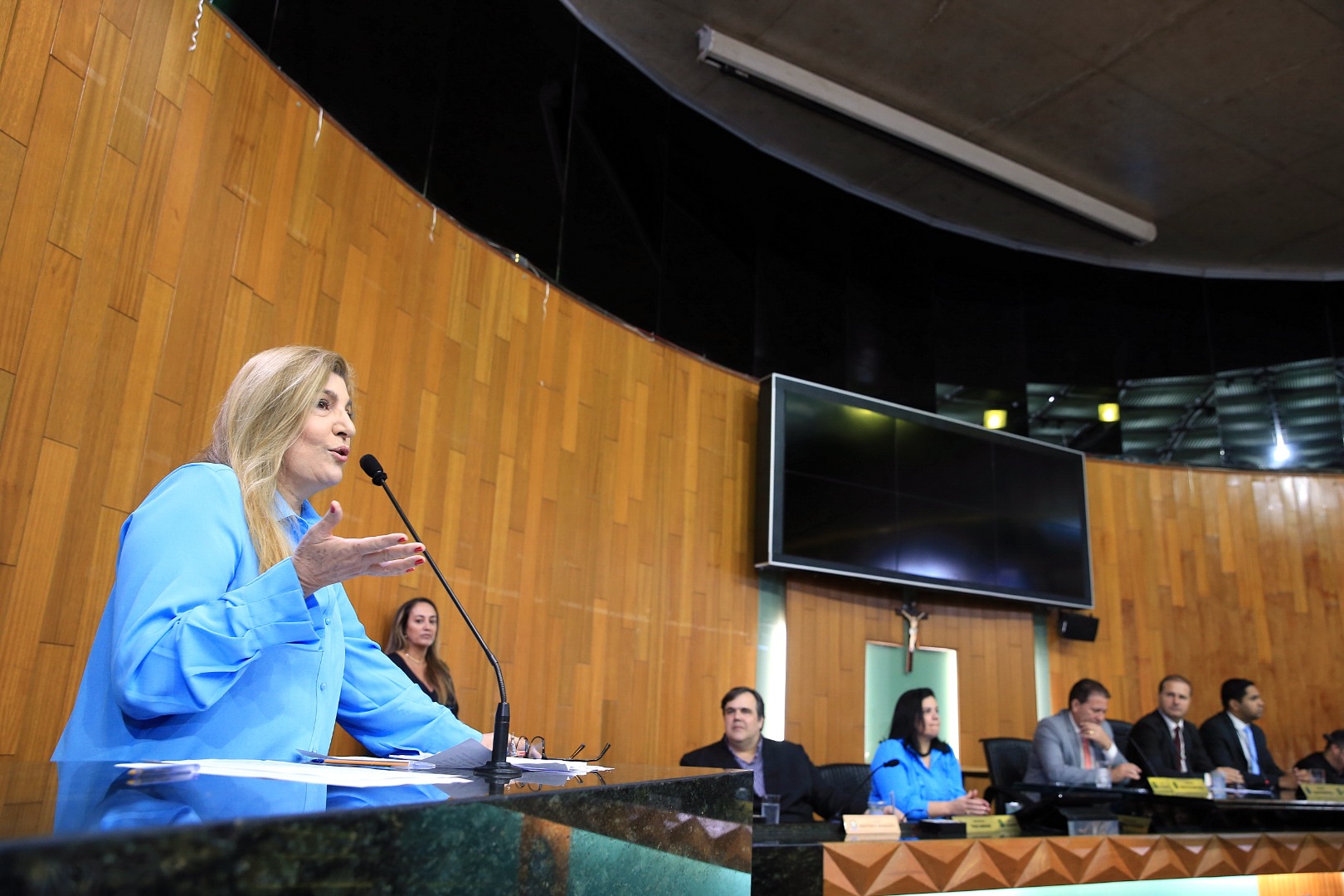 foto Aline Rezende 0010.JPG