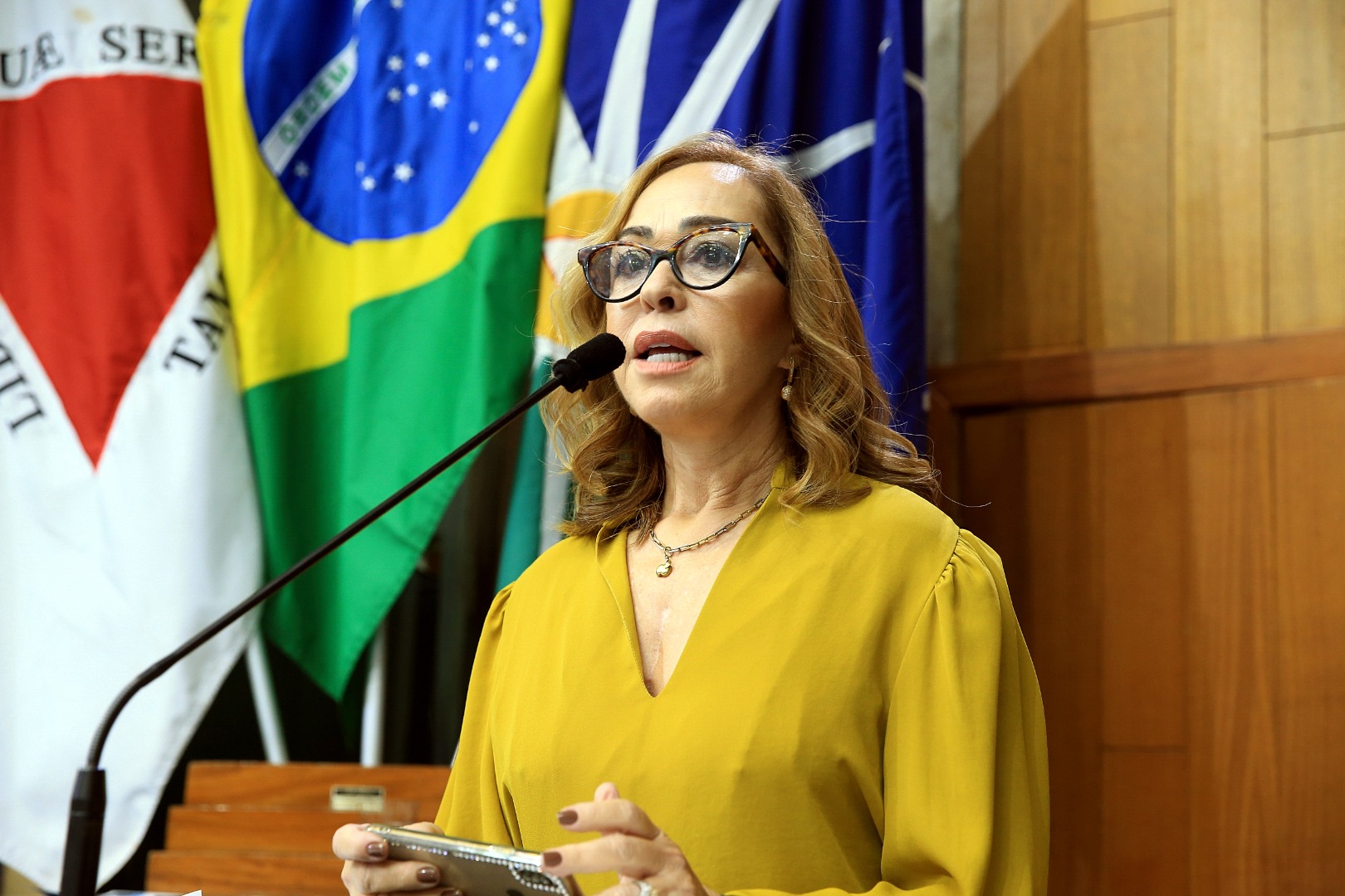 foto Aline Rezende 0016.JPG