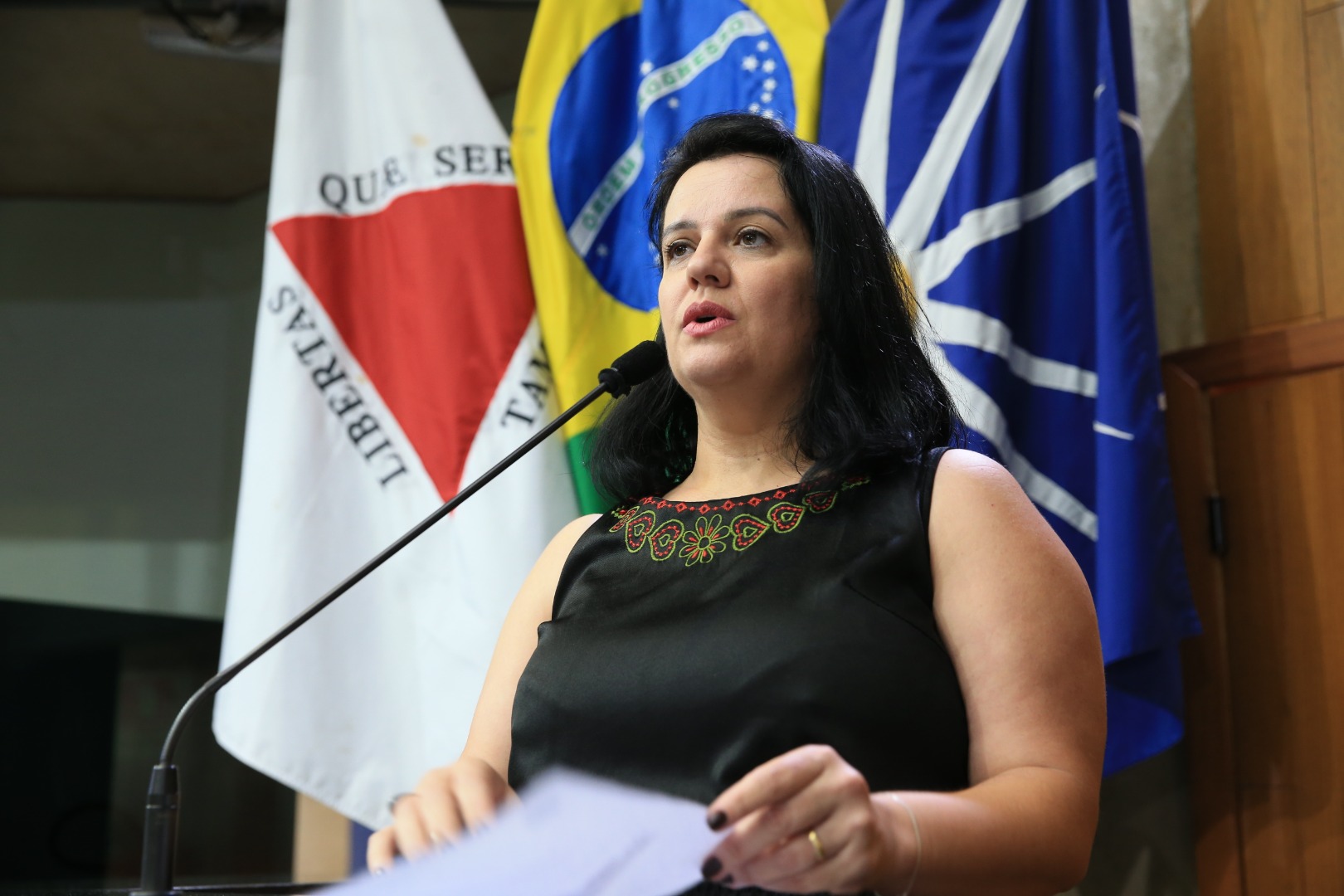 foto Aline Rezende 0020.JPG