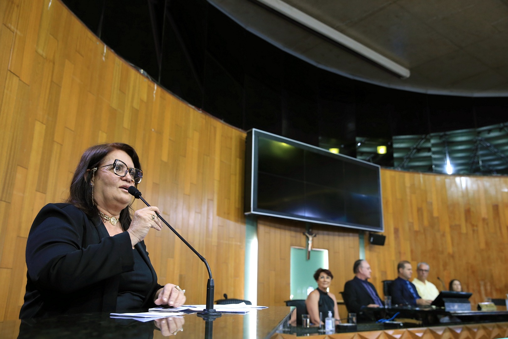 foto Aline Rezende 0026.JPG