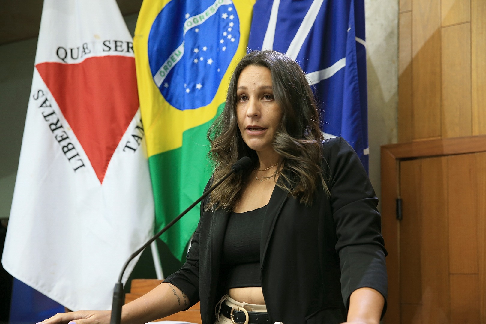 foto Aline Rezende 0029.JPG
