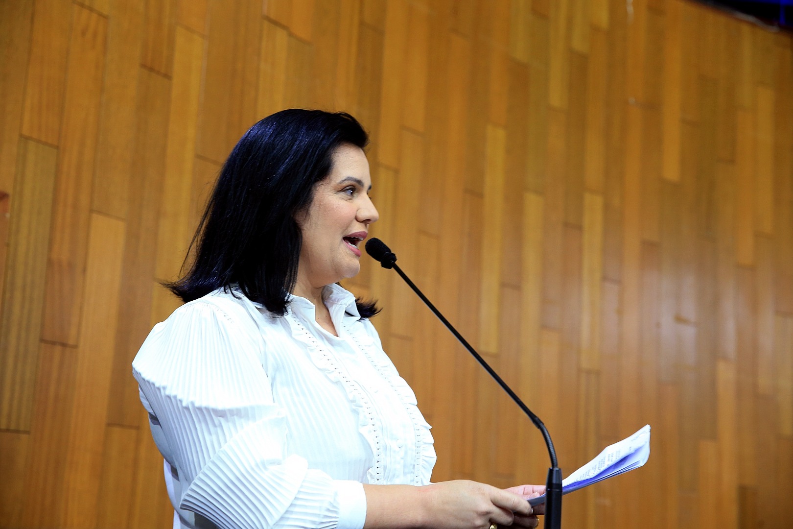 foto Aline Rezende 0010.JPG