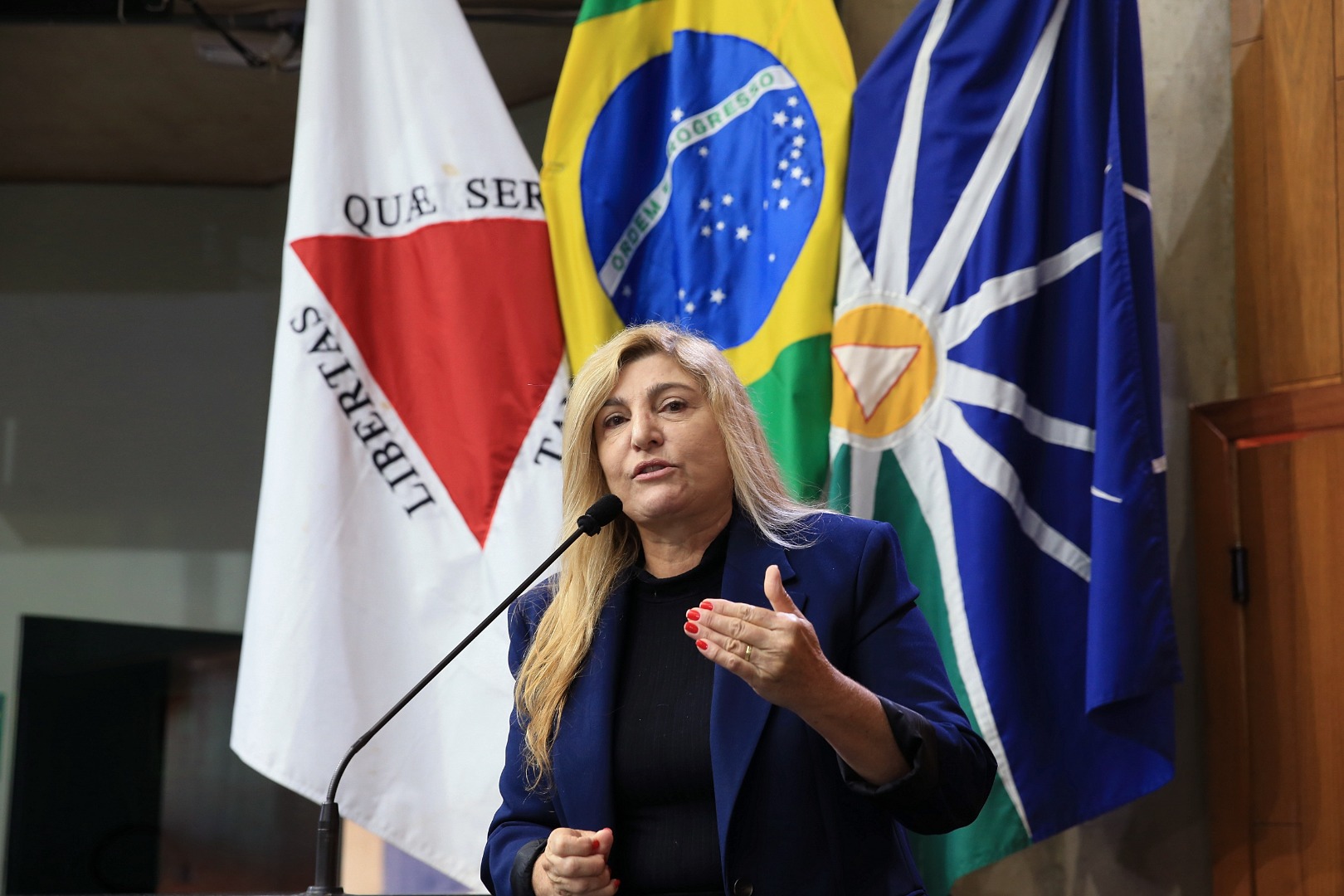foto Aline Rezende 0077.JPG