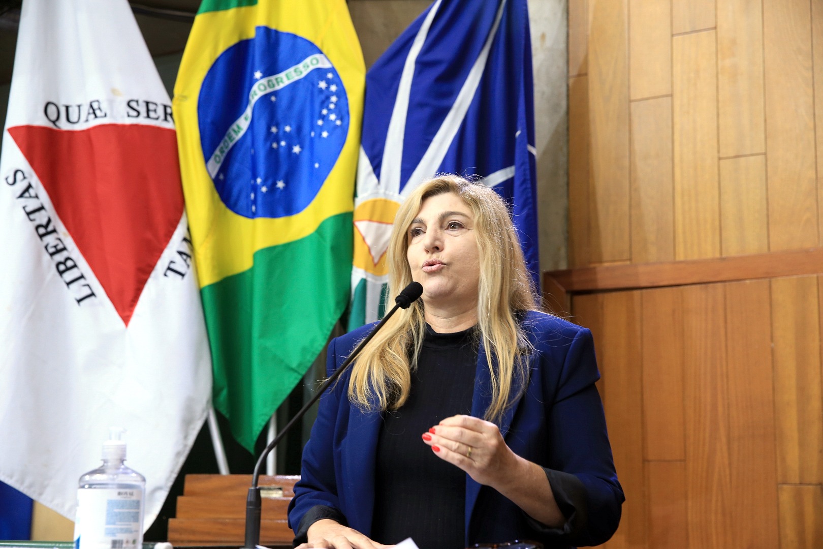 foto Aline Rezende 0057.JPG