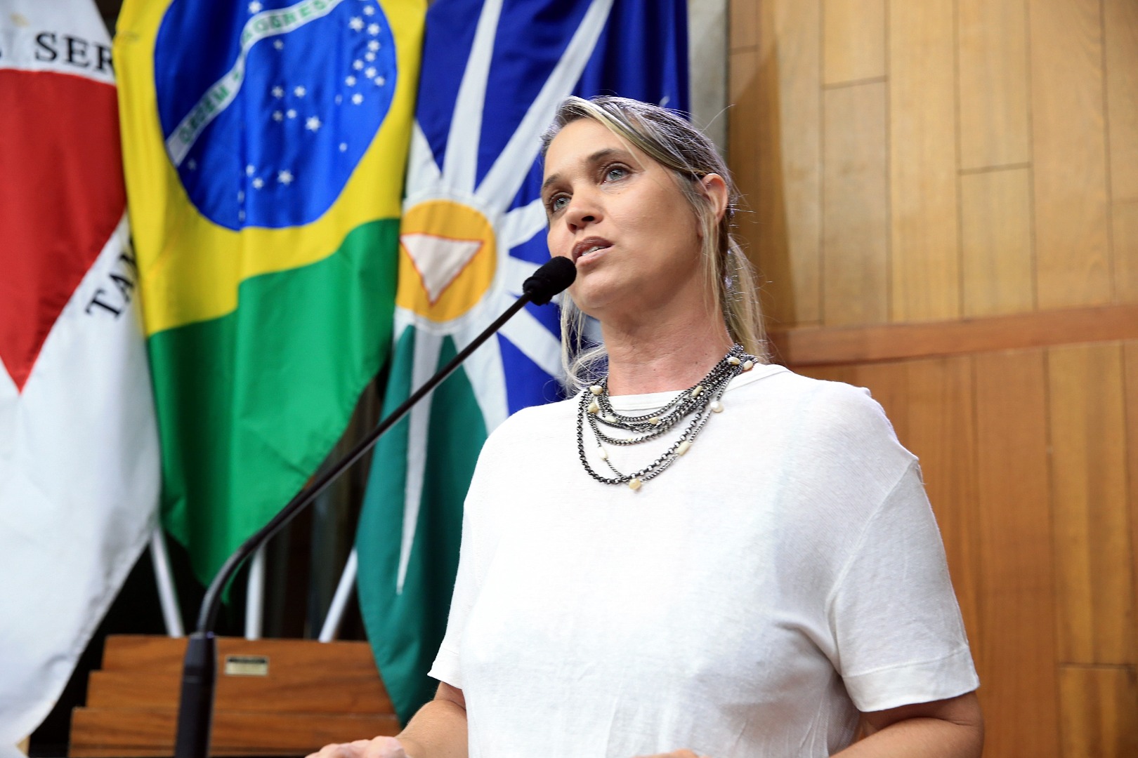 Foto Aline Rezende 0033.JPG