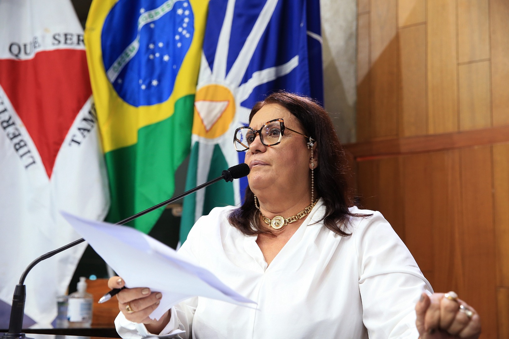 foto Aline Rezende 0040.JPG