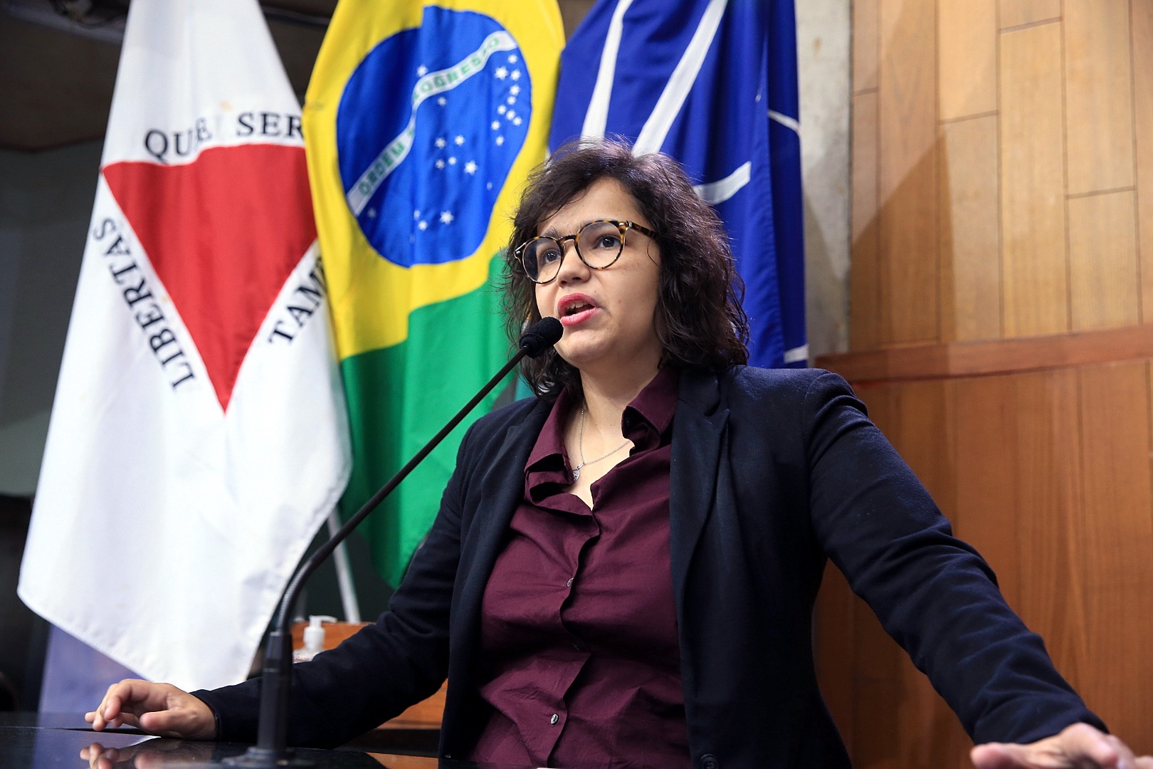 foto Aline Rezende 0059.JPG