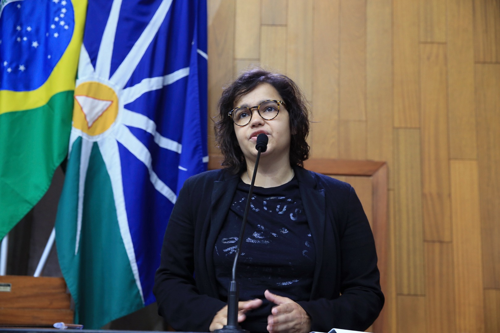 foto Aline Rezende 0028.JPG