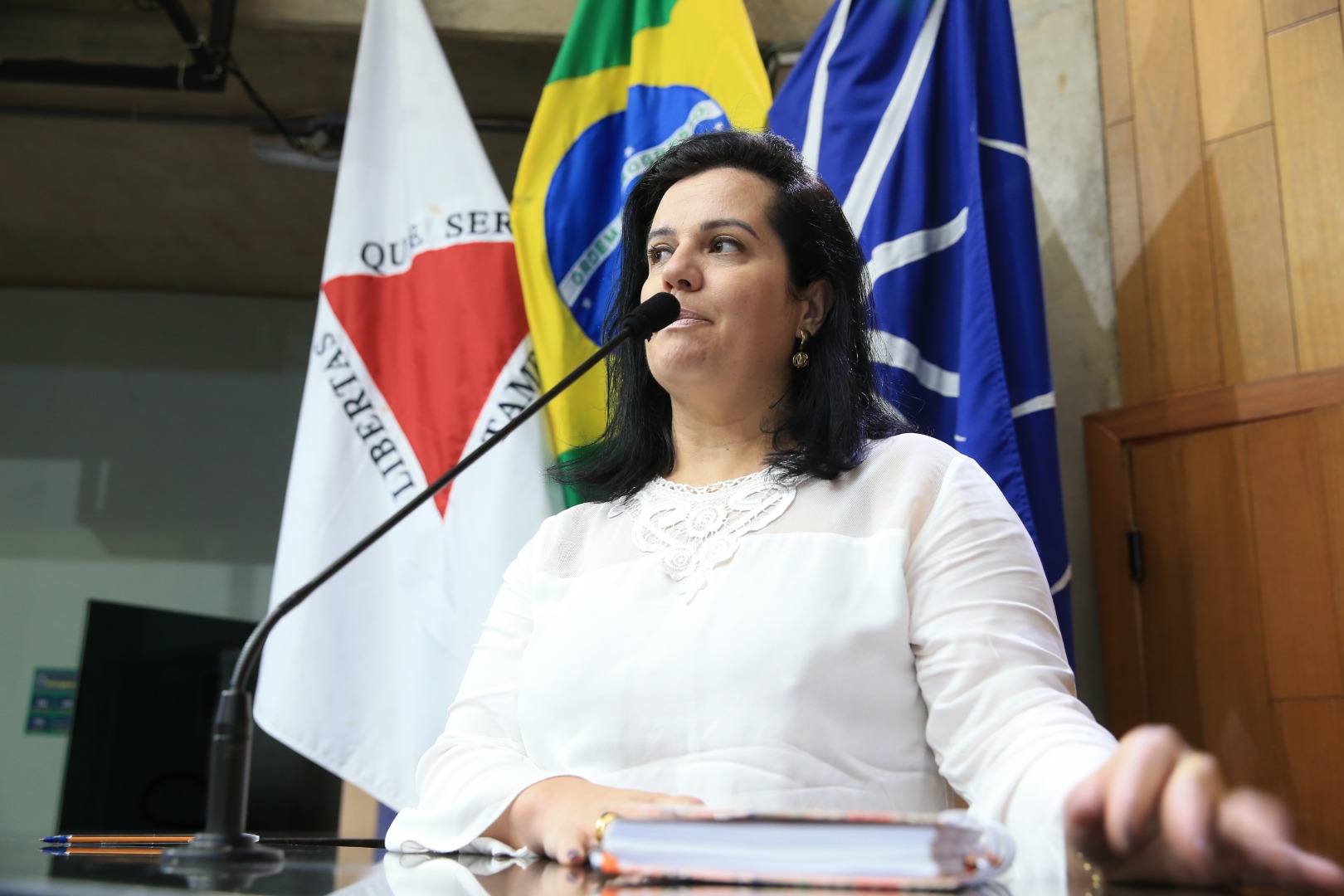 foto Aline Rezende 0047.JPG