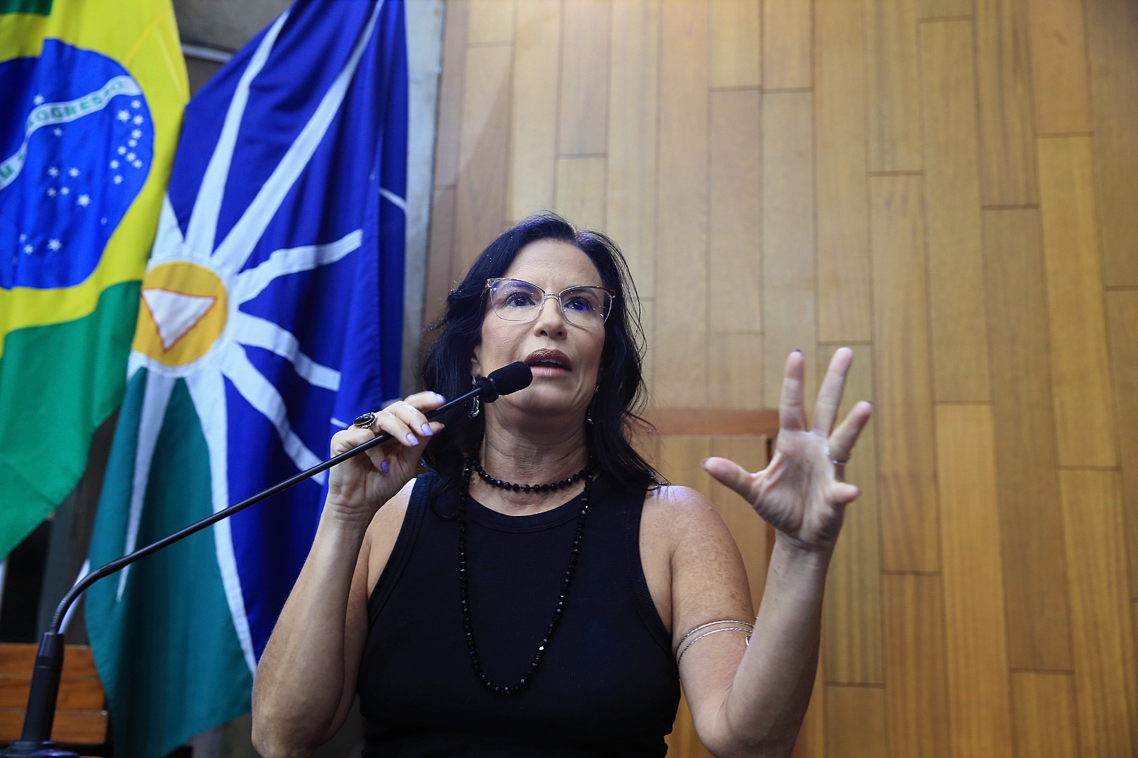 foto Aline Rezende 0025.JPG