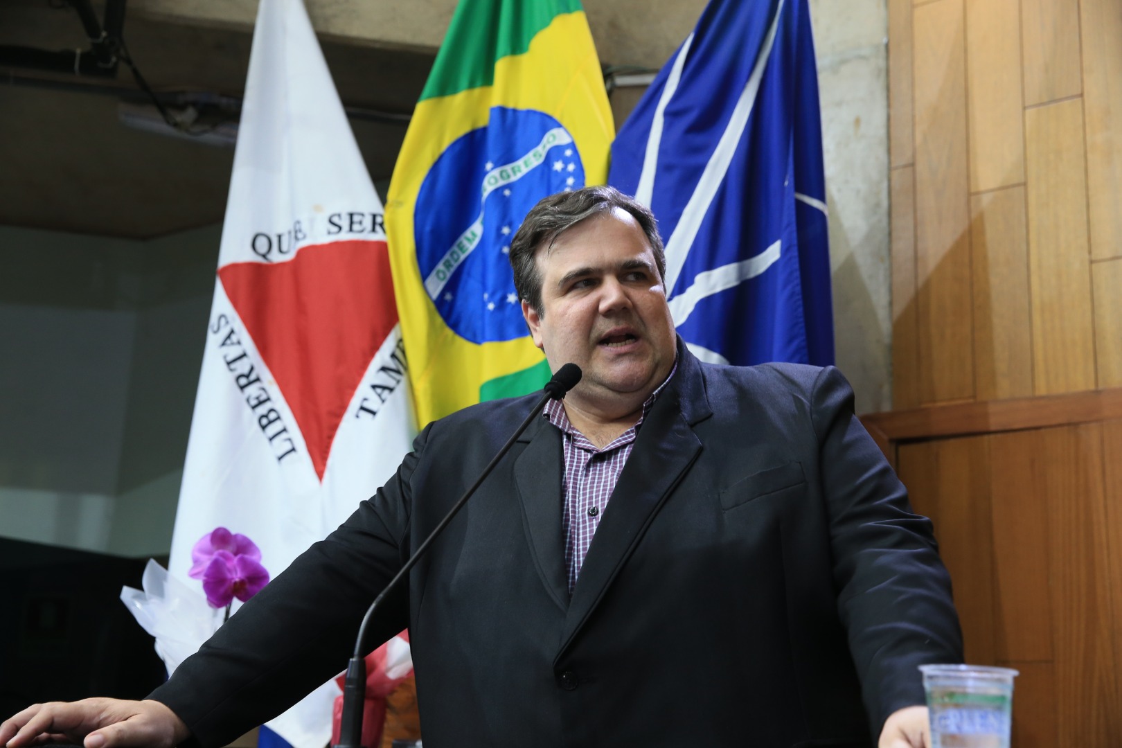foto Aline Rezende 0014.JPG