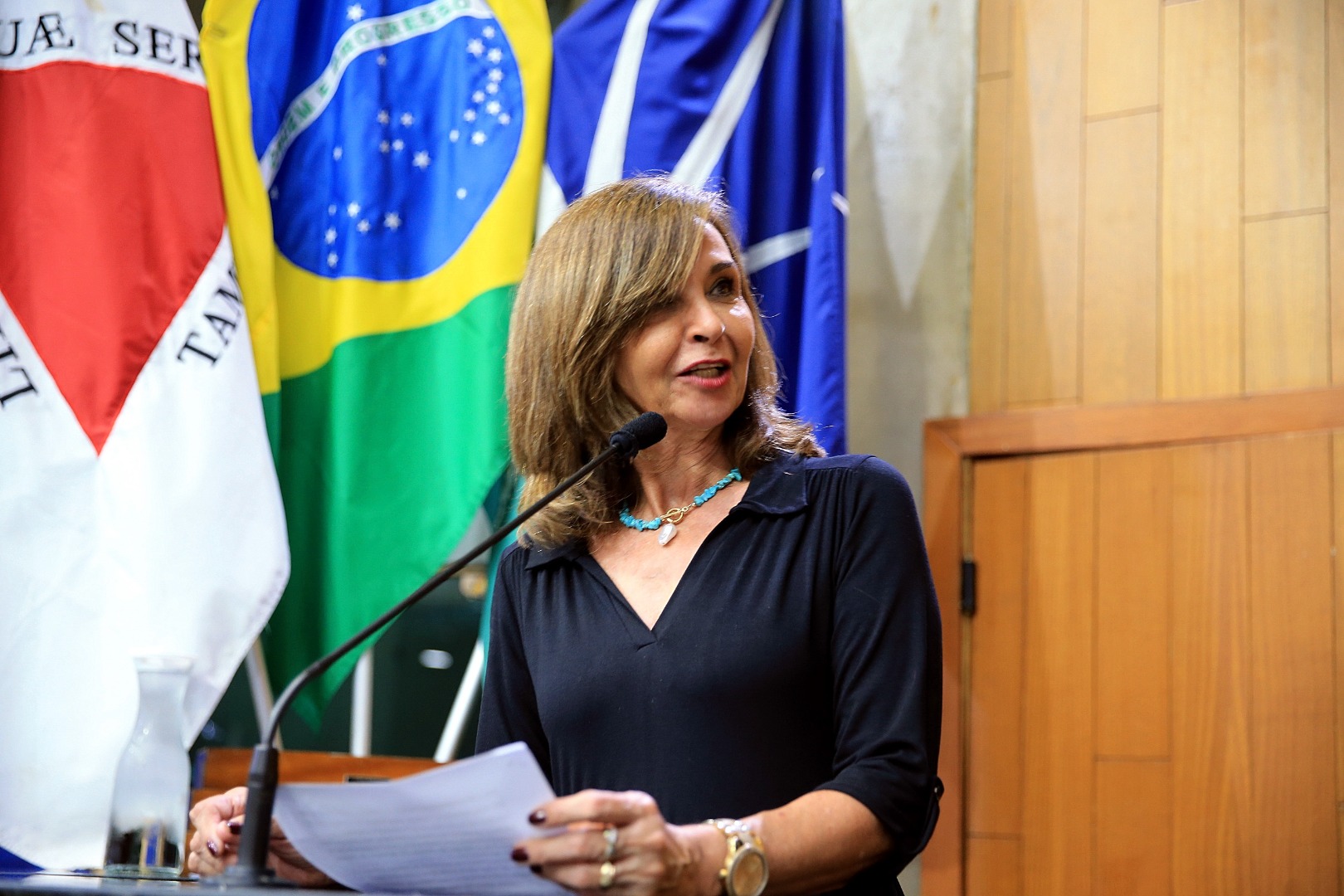 foto Aline Rezende 0023.JPG