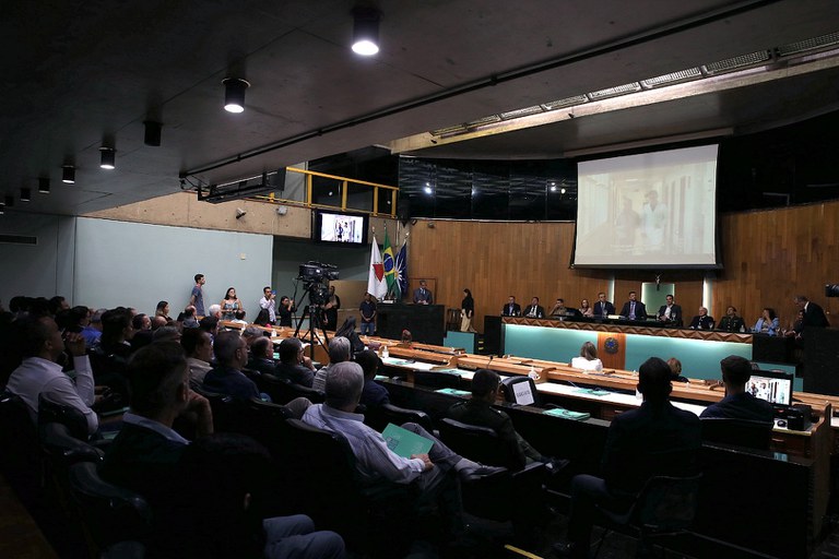 foto Aline Rezende 0020.JPG