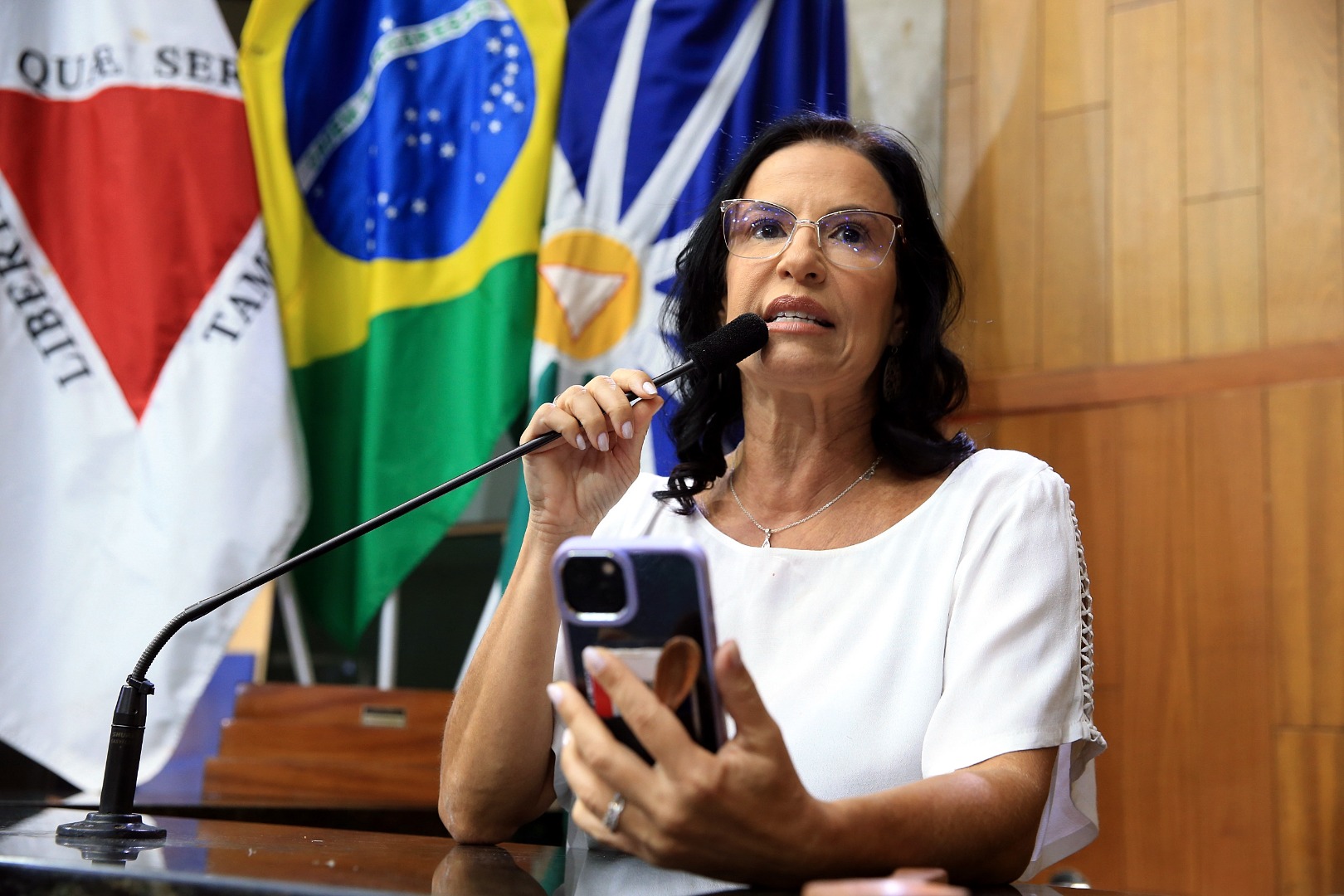 foto Aline Rezende 0026.JPG