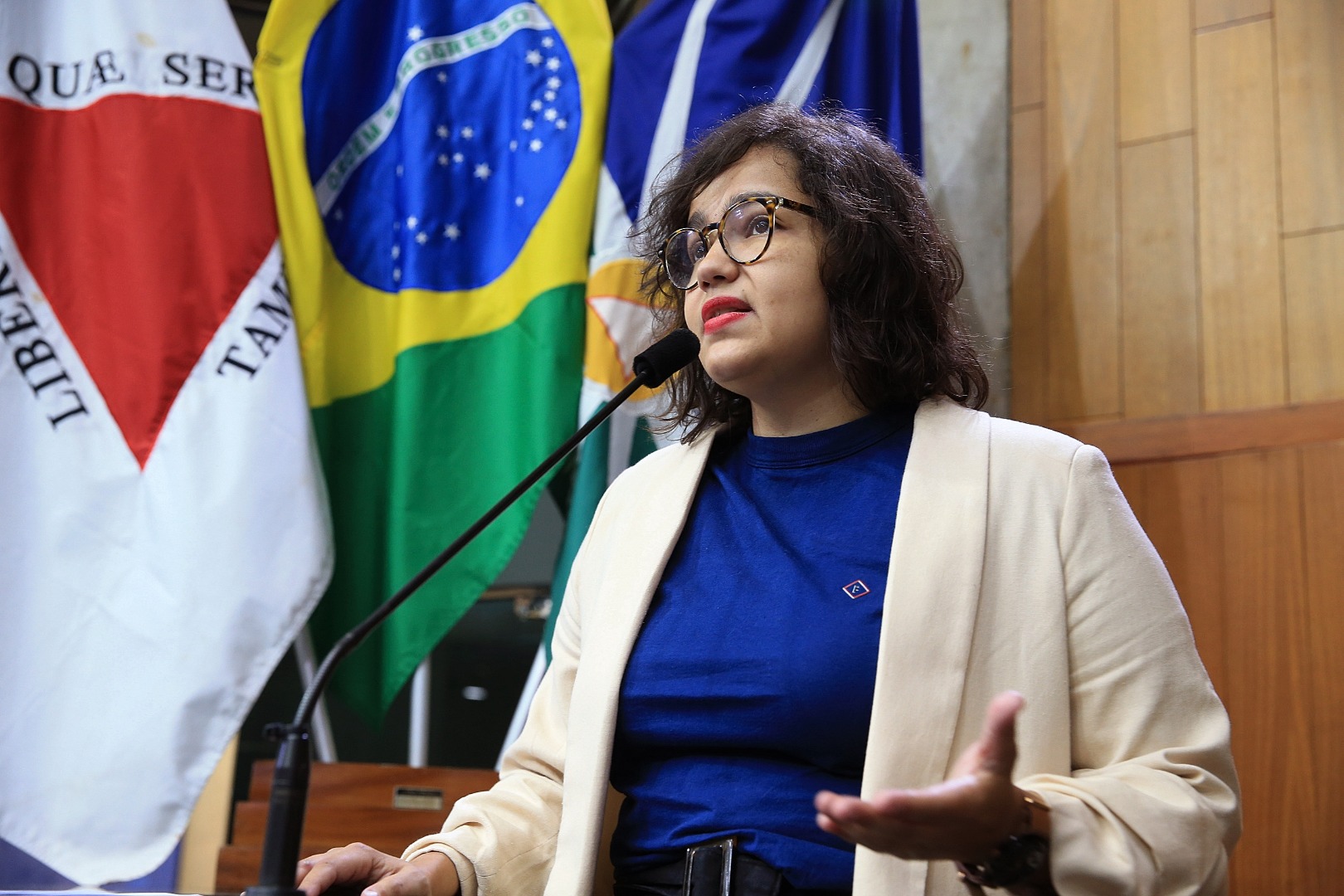 foto Aline Rezende 0028.JPG