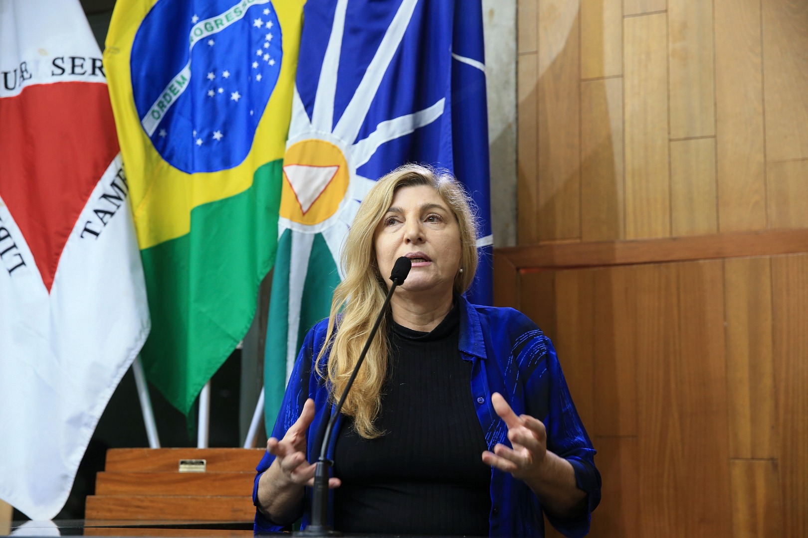 foto Aline Rezende 0064.JPG