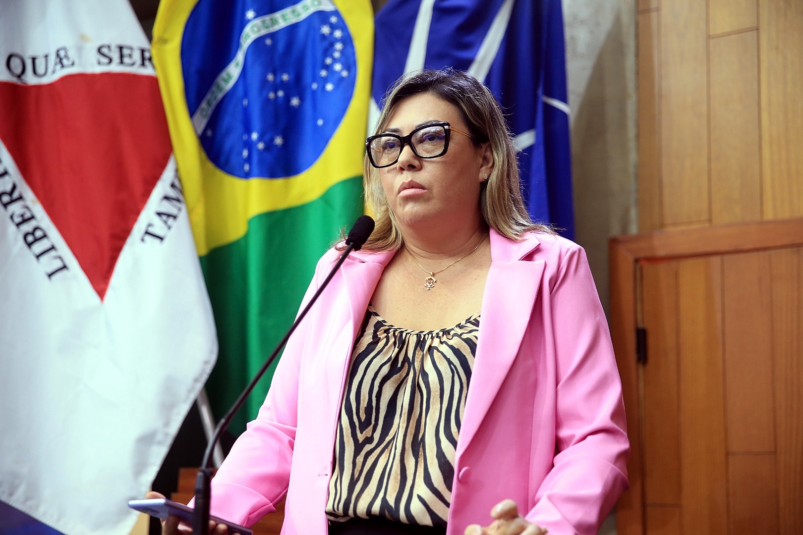 foto Aline Rezende 0013.JPG